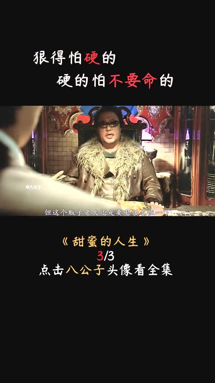 拯救穆尔小马